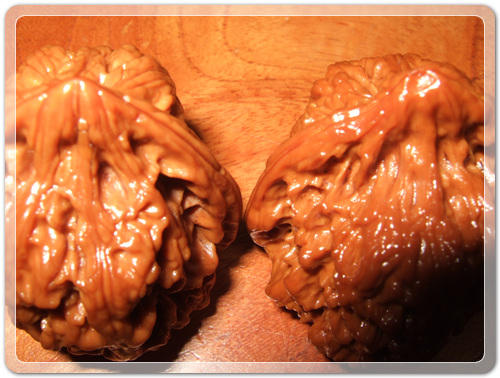 a5f89afaf8185d2e8a5046d043781878_1472389