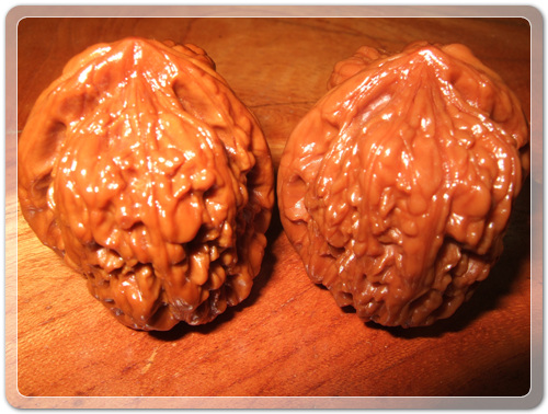 a5f89afaf8185d2e8a5046d043781878_1472389