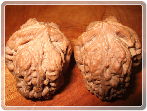 a5f89afaf8185d2e8a5046d043781878_1472389