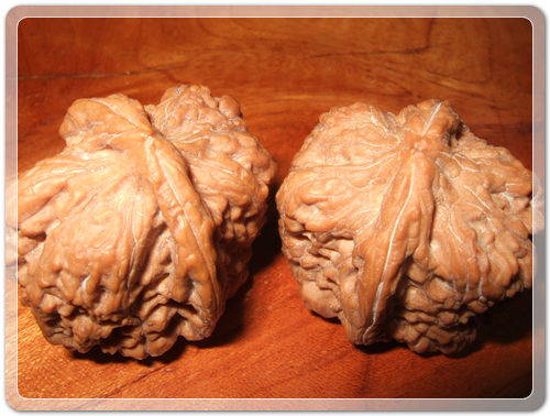 a5f89afaf8185d2e8a5046d043781878_1472389