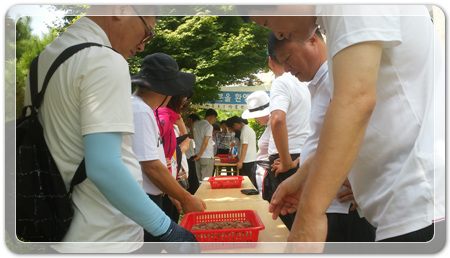 ab95df40e4bfb78d3ccc19aea5adca16_1470829