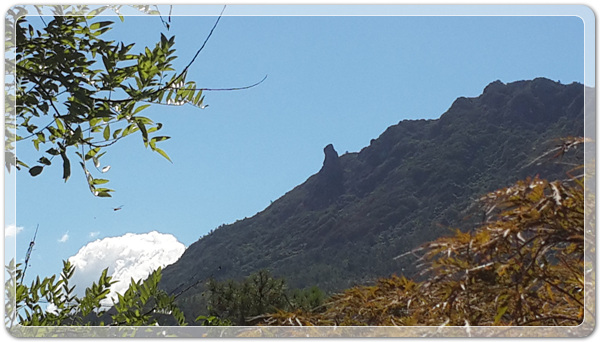 c6449a653e725cf1b52264e2b396f353_1472443