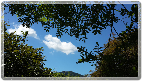 c6449a653e725cf1b52264e2b396f353_1472443