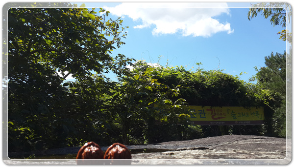 c6449a653e725cf1b52264e2b396f353_1472443