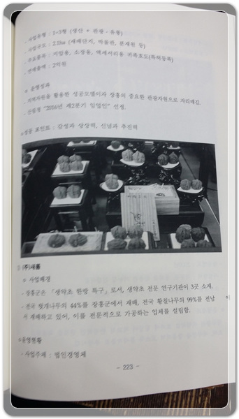 c6449a653e725cf1b52264e2b396f353_1472443