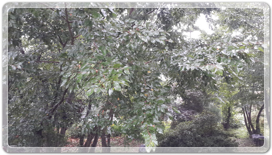 c9a89bf46f8910dac688bc5d3e3f97e4_1472216