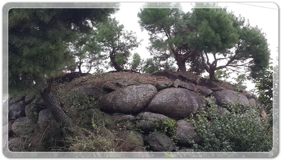 c9a89bf46f8910dac688bc5d3e3f97e4_1472216