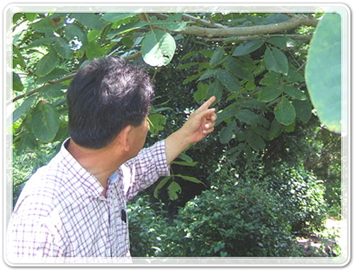 da3c85aa1ec6a851f537f012e800ff4e_1471012