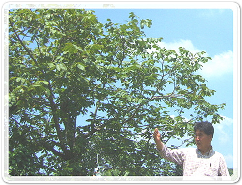 da3c85aa1ec6a851f537f012e800ff4e_1471012