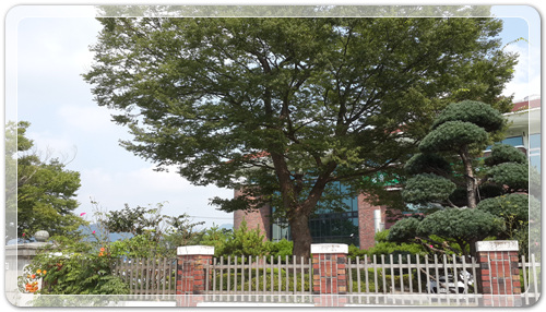 eaec6a662c6243fc0284ce5a92de582c_1470319