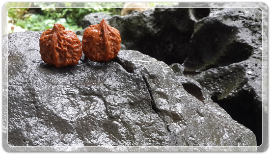 12f0211f1ed53ef359b6dbfb4b150532_1475238