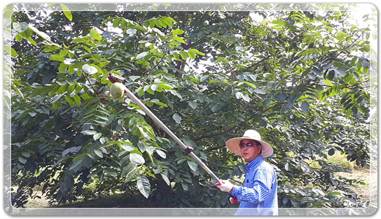 12f0211f1ed53ef359b6dbfb4b150532_1475238