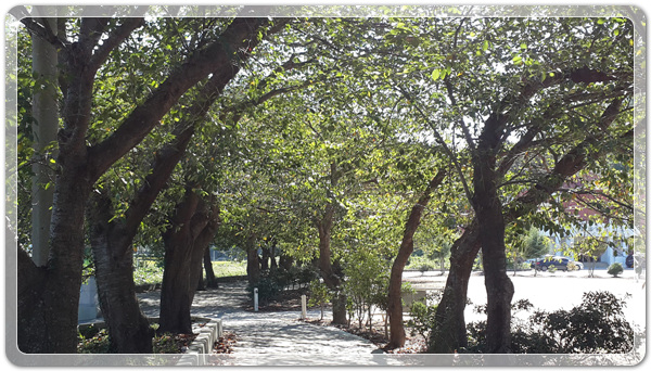 17d56435c8c3381c60e9358e6a3431b3_1474380