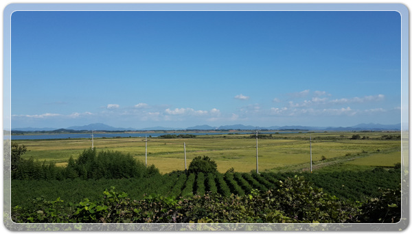 17d56435c8c3381c60e9358e6a3431b3_1474380