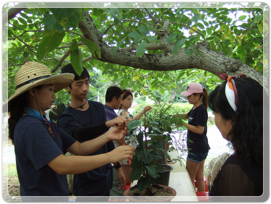 6bdff824b99dfe16761ca999f125299a_1473337