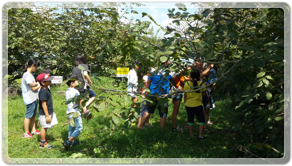 7d236bb7a0b32de52fcc362f70ebc125_1472994