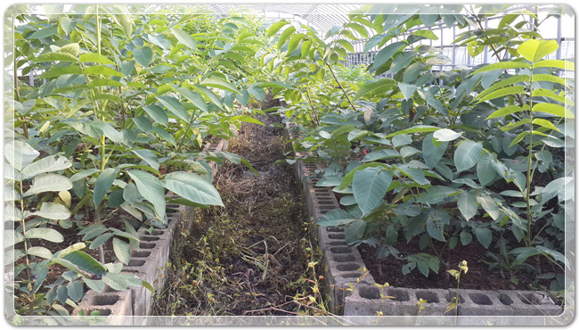 840a649281619048b0a6265a8ed40977_1473082