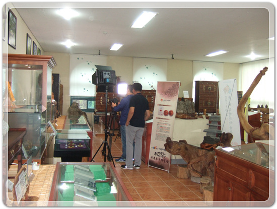 ec91b4948b23ee4eda4846f416969f95_1472829