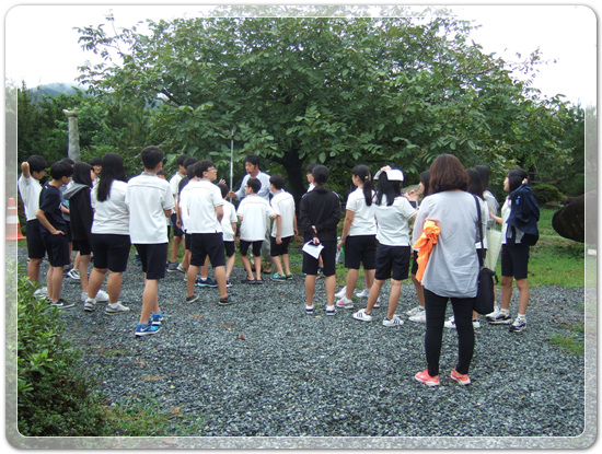 ec91b4948b23ee4eda4846f416969f95_1472830