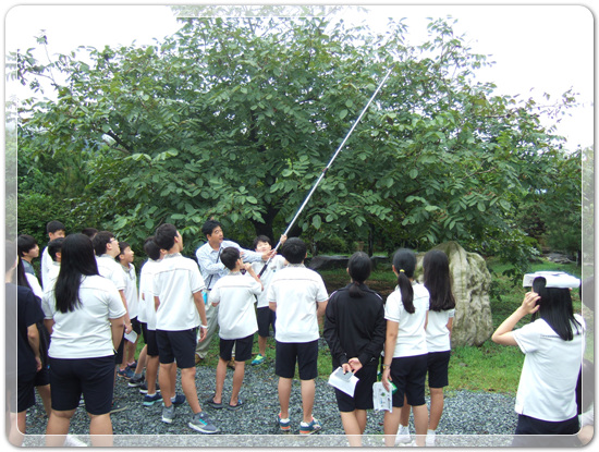 ec91b4948b23ee4eda4846f416969f95_1472830