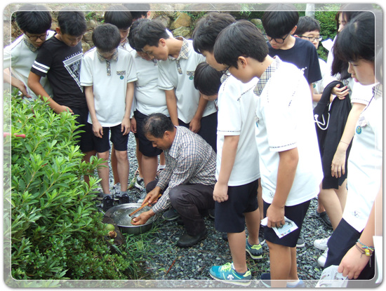 ec91b4948b23ee4eda4846f416969f95_1472830