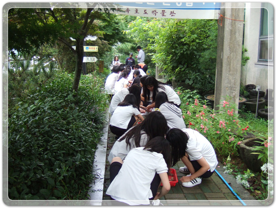 ec91b4948b23ee4eda4846f416969f95_1472830