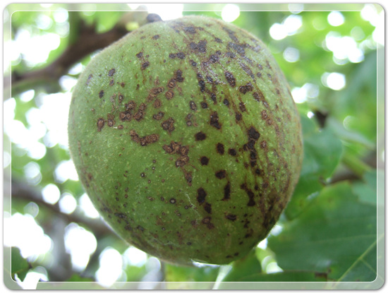 ec91b4948b23ee4eda4846f416969f95_1472832