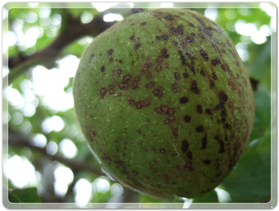 ec91b4948b23ee4eda4846f416969f95_1472832