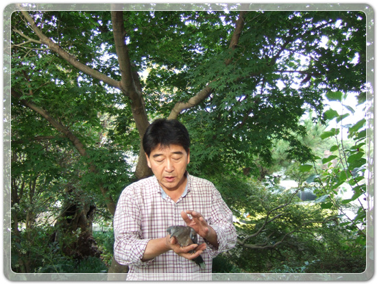 4a50e15079d8bdc337c2e445981c31c2_1476934