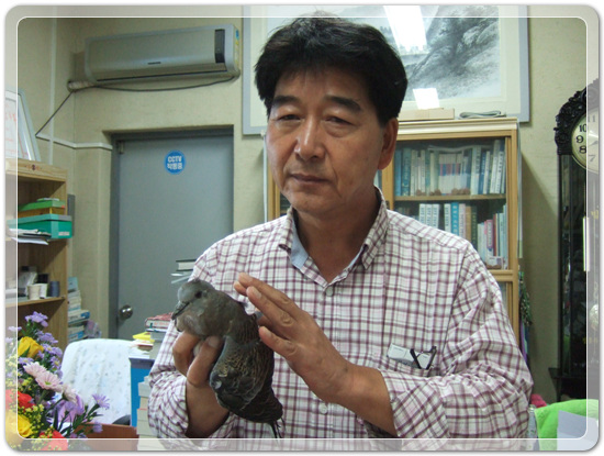 4a50e15079d8bdc337c2e445981c31c2_1476934