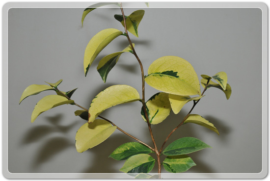 5f26c32f976a1f5ce7cf4702c88d6239_1477707