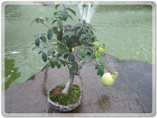 74fd1a27b8e0c41326663727417112db_1477142