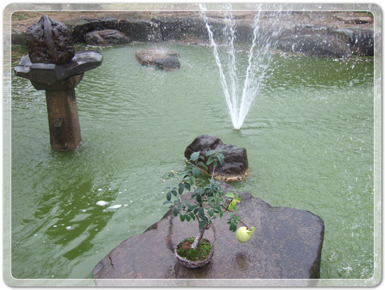 74fd1a27b8e0c41326663727417112db_1477142