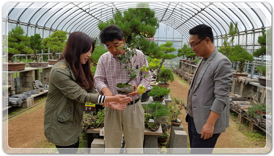 74fd1a27b8e0c41326663727417112db_1477142