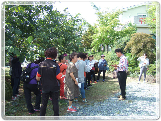 98d6e479b9d5643c22ebf48102d547c8_1475579