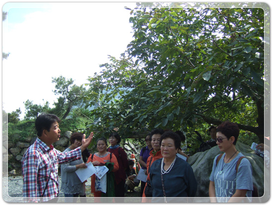 98d6e479b9d5643c22ebf48102d547c8_1475579