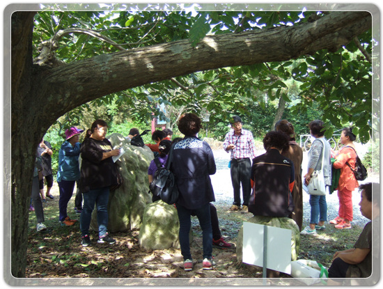 98d6e479b9d5643c22ebf48102d547c8_1475579