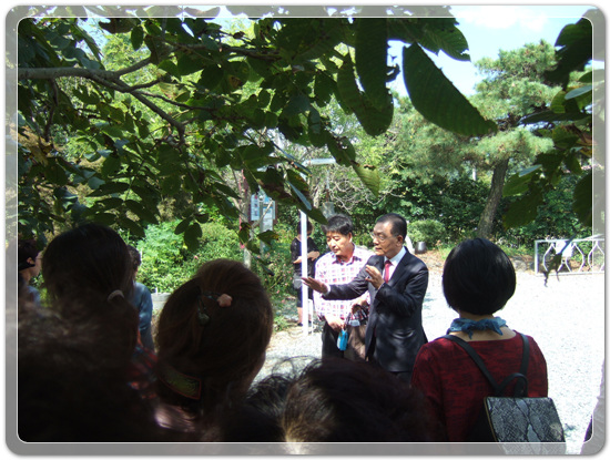 98d6e479b9d5643c22ebf48102d547c8_1475579