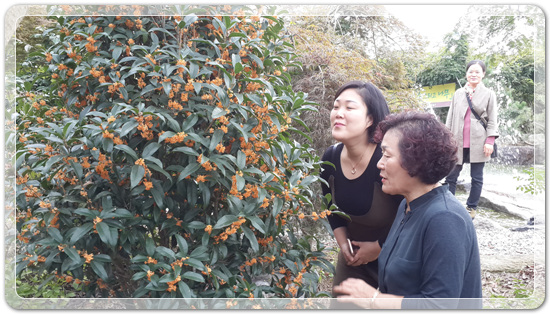 d6292f03f49d14f44ea7260aee670fa8_1476193