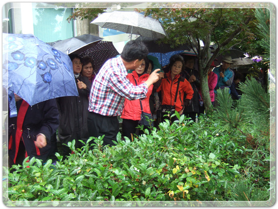 e3b730de9ad41beaedf9a6cf5b6aa429_1477920