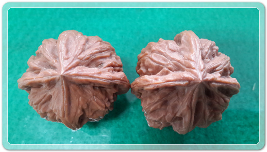 1893a0cb61c34c7e3f23f14e1c8ea24e_1478096