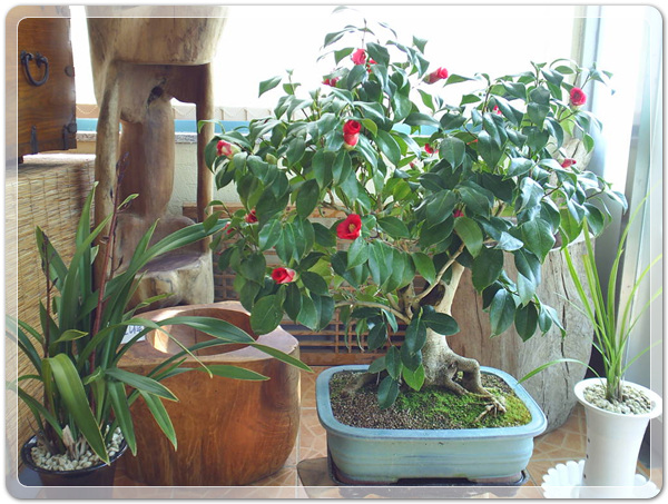 5a595f330be4ebf803d3424e41fffce2_1479041