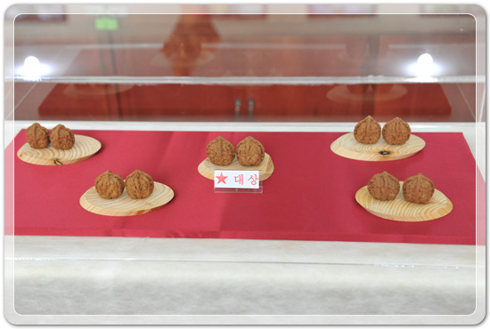 afdc89d5713653c375c62f26feed6375_1478271