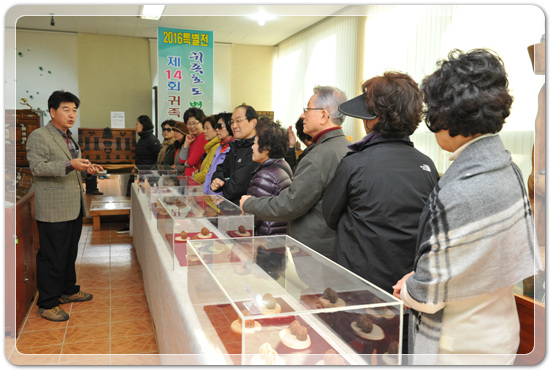 afdc89d5713653c375c62f26feed6375_1478271