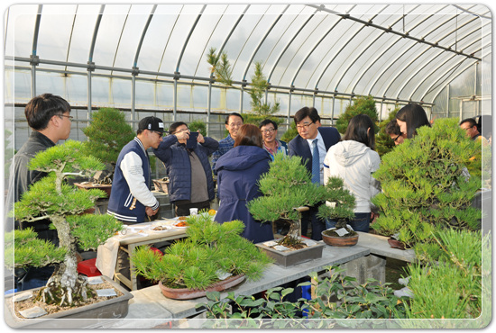 afdc89d5713653c375c62f26feed6375_1478271