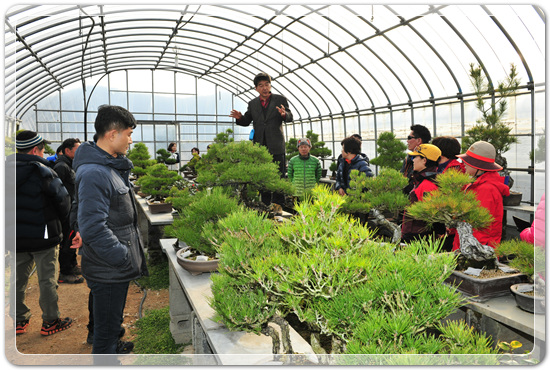 35922062102496891742df6bdf79eb72_1494512