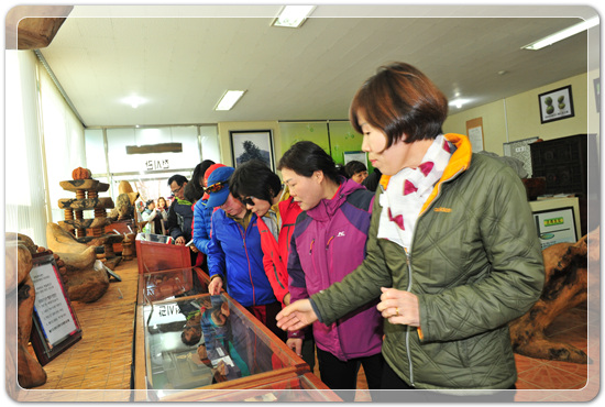 35922062102496891742df6bdf79eb72_1494512