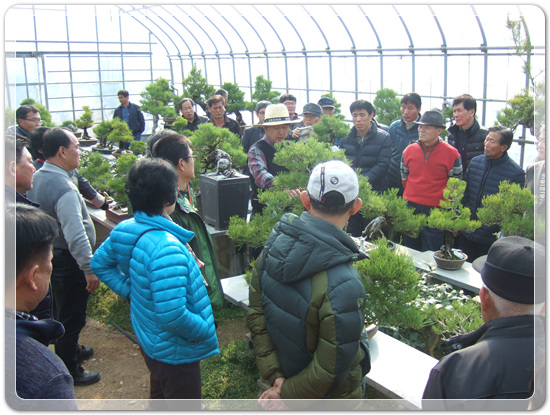 35922062102496891742df6bdf79eb72_1494512