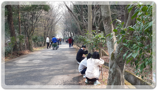 35922062102496891742df6bdf79eb72_1494512