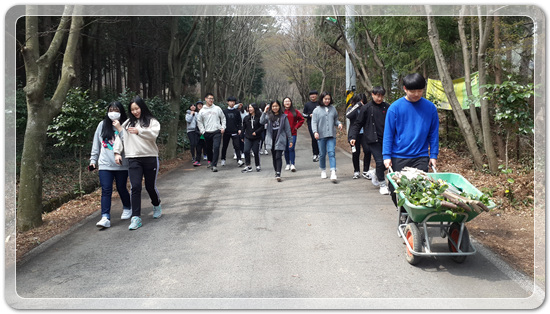 35922062102496891742df6bdf79eb72_1494512